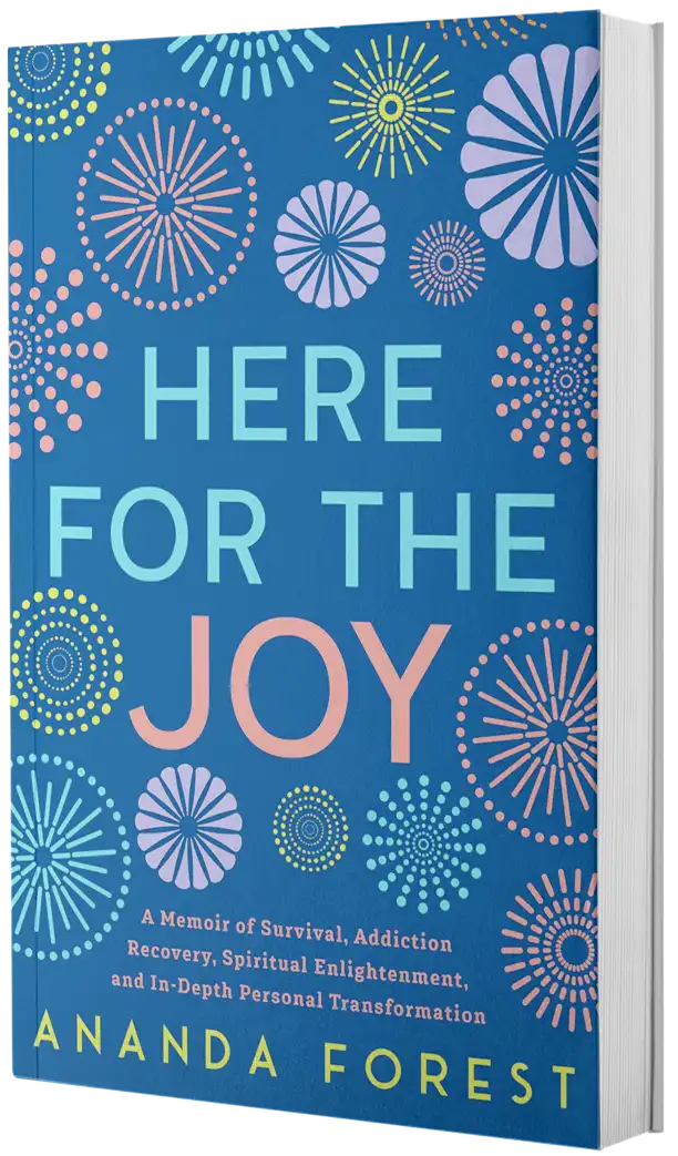 Here For The Joy — book cover